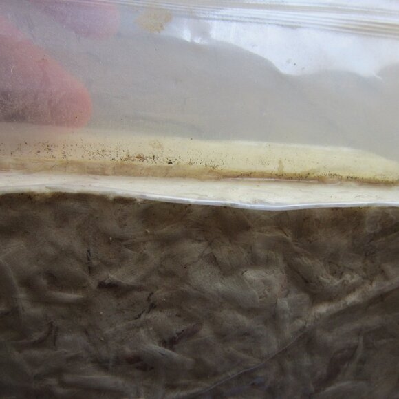 15 OZ Aspen Hamster Bedding - Aspen Shavings Bedding Hen Nest Material - Picture 7 of 8